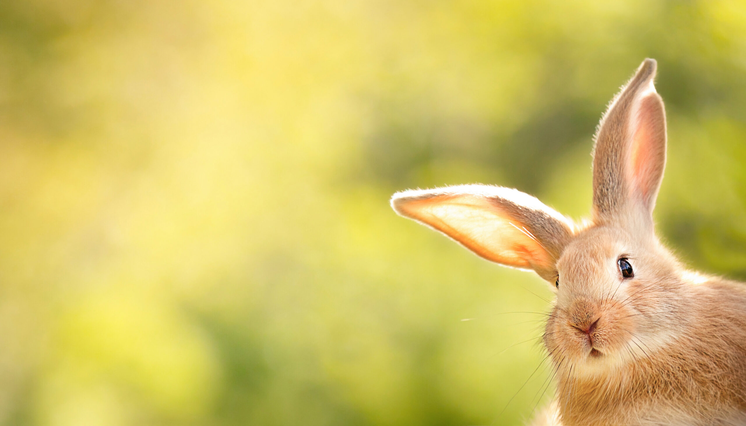 Spring Into a New Job in the Built Environment